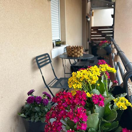 Appartement De Charme 80M2 吉法尔 外观 照片