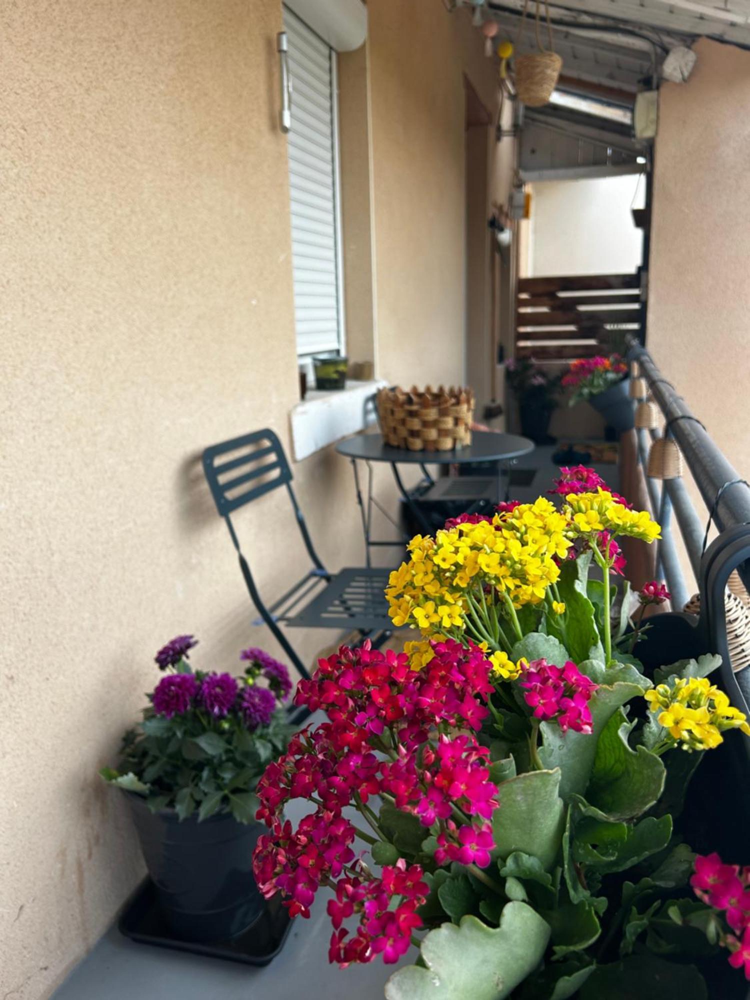 Appartement De Charme 80M2 吉法尔 外观 照片